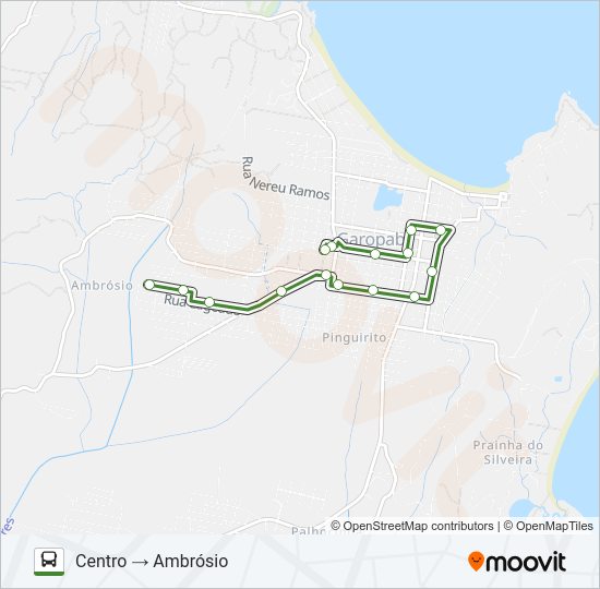 AMBRÓSIO Bus Line Map