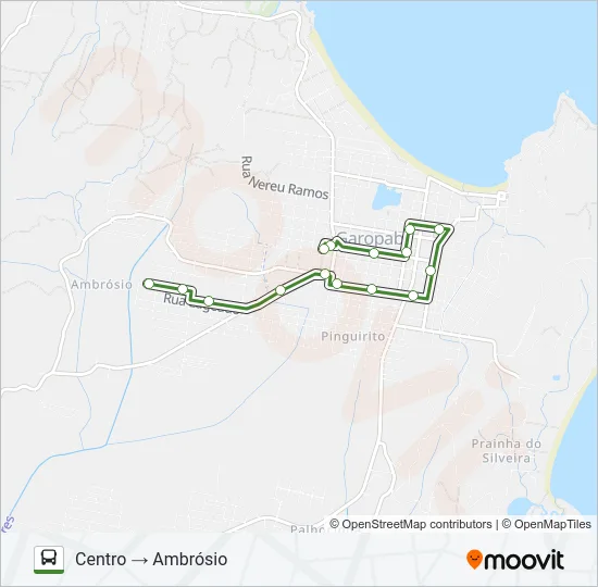 AMBRÓSIO Bus Line Map