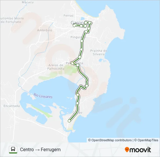 FERRUGEM Bus Line Map