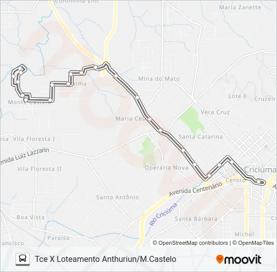 204A VILA ZULEIMA VIA LOT.ANTHURIUN/M.CASTELO Bus Line Map