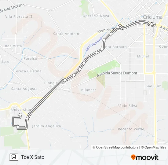 0217 TCE / SATC VIA RUA HENRIQUE LAGE Bus Line Map