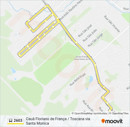 2603 Bus Line Map