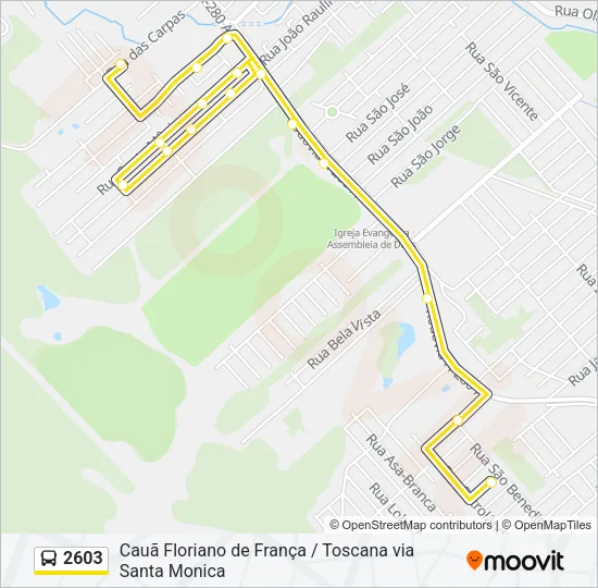 2603 Bus Line Map