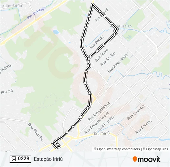 0229 Bus Line Map