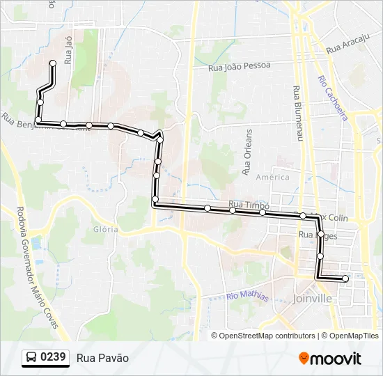 0239 Bus Line Map