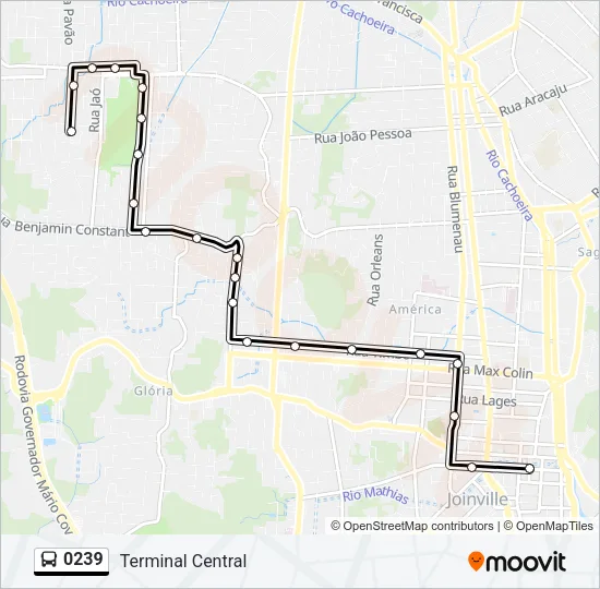 0239 Bus Line Map