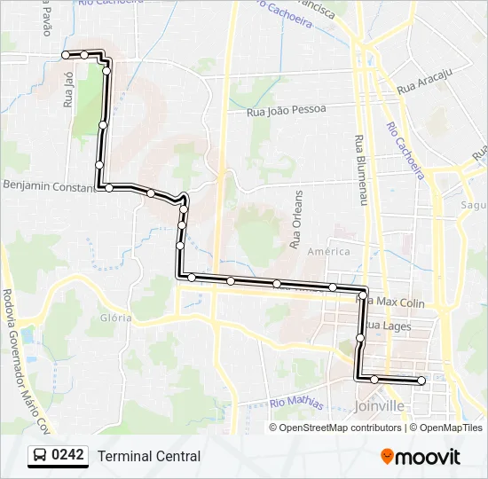 0242 Bus Line Map