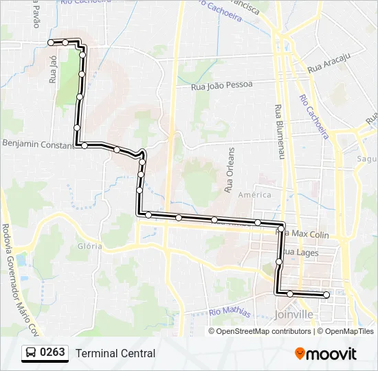 0263 Bus Line Map