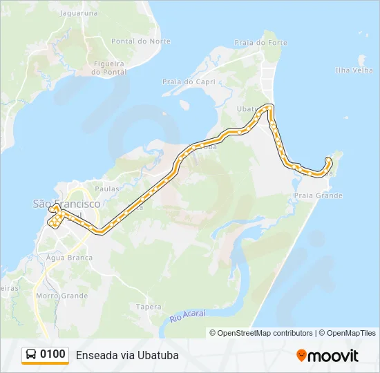 0100 Bus Line Map