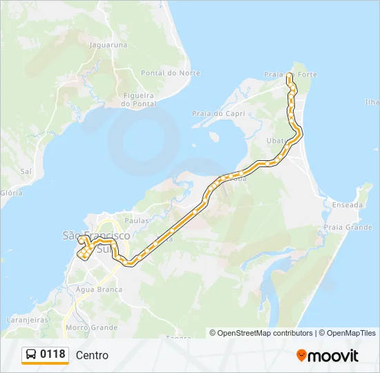 0118 Bus Line Map