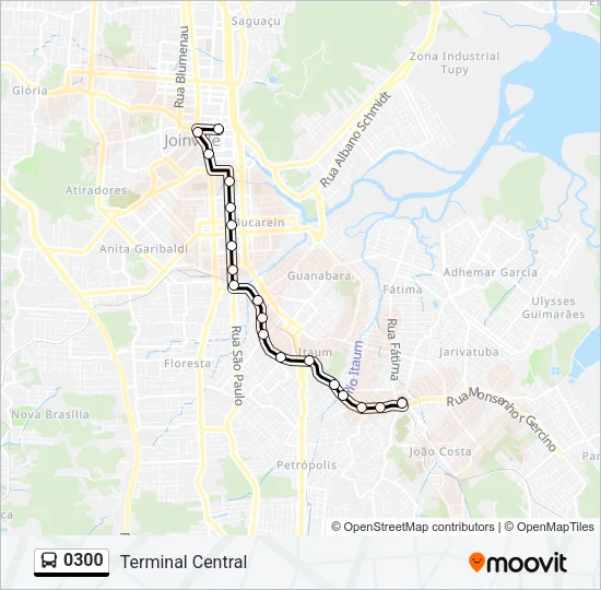 0300 Bus Line Map