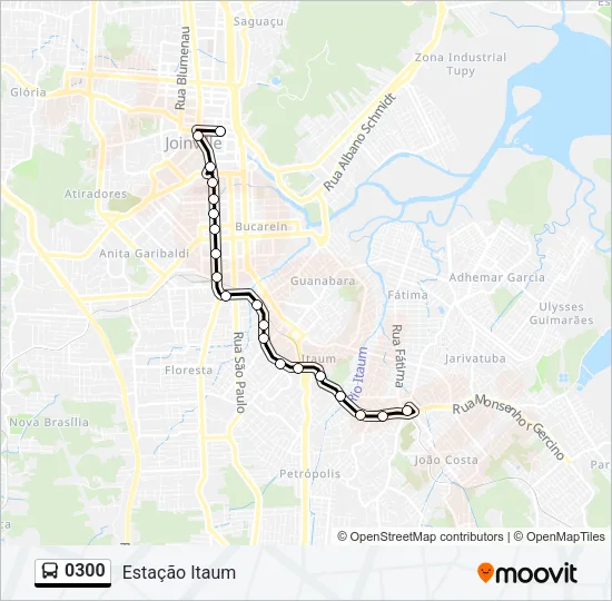 0300 Bus Line Map