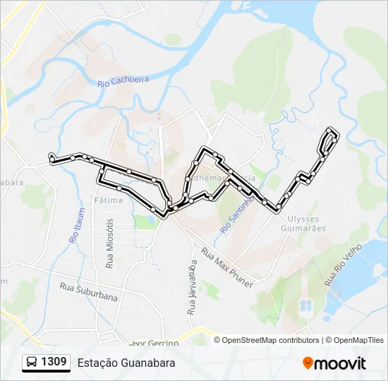 1309 Bus Line Map
