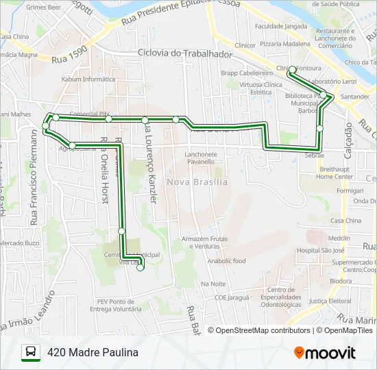 420 MADRE PAULINA Bus Line Map