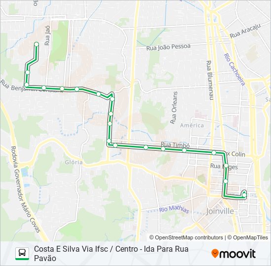 0239 COSTA E SILVA VIA IFSC / CENTRO bus Line Map