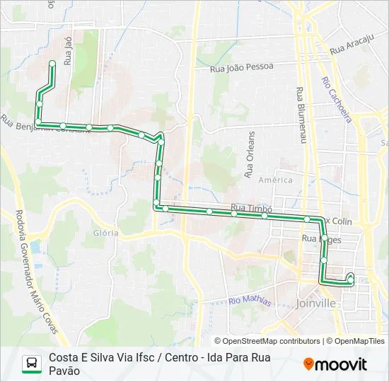 0239 COSTA E SILVA VIA IFSC / CENTRO  Line Map