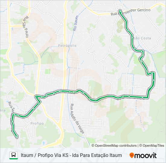 1228 ITAUM / PROFIPO VIA KS bus Line Map