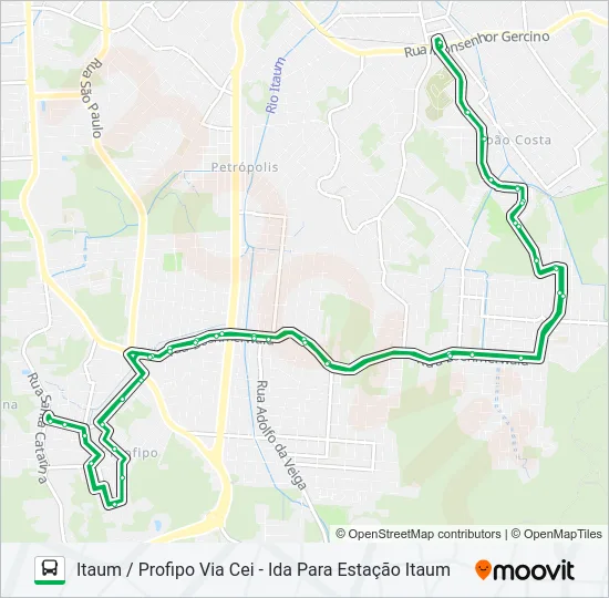 1229 ITAUM / PROFIPO VIA CEI  Line Map