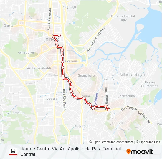 0302 ITAUM / CENTRO VIA ANITÁPOLIS  Line Map