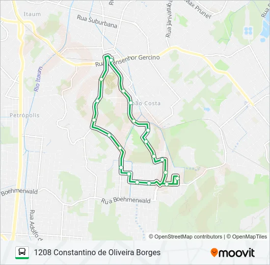1208 CONSTANTINO DE OLIVEIRA BORGES  Line Map