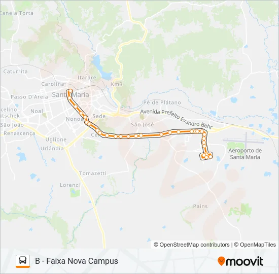 196 UNIVERSIDADE Bus Line Map
