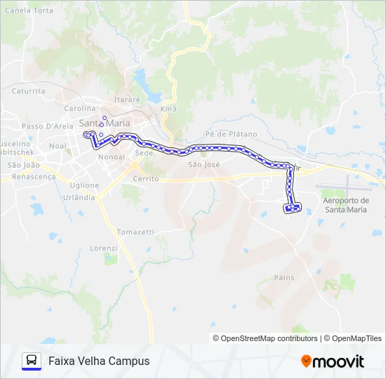 S196 UNIVERSIDADE Bus Line Map