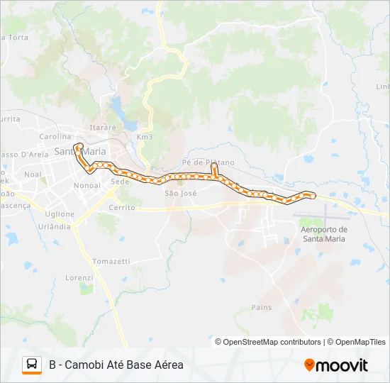100 CAMOBI Bus Line Map