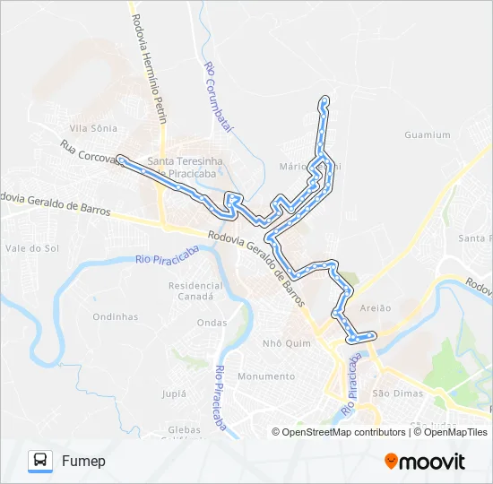 0421 MÁRIO DEDINI / TVS  Line Map