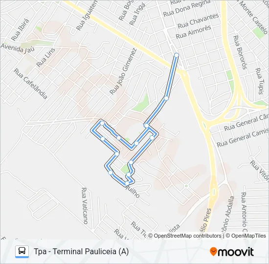 317 JARDIM PARAÍSO Bus Line Map