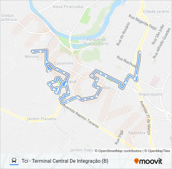 315 JARAGUÁ Bus Line Map