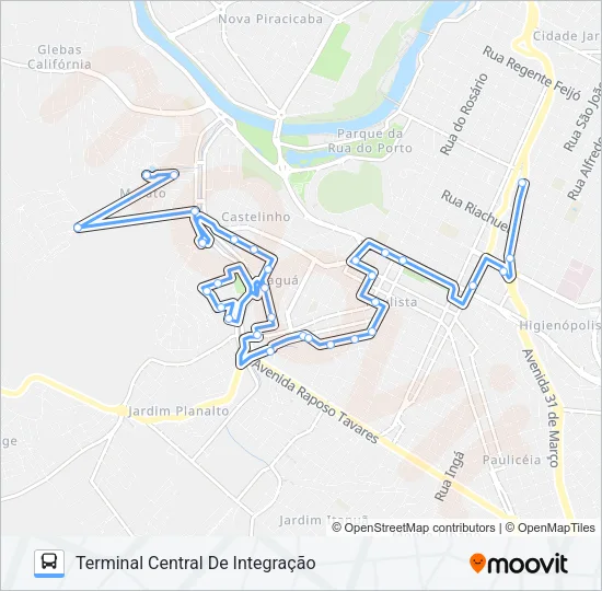 315 JARAGUÁ Bus Line Map