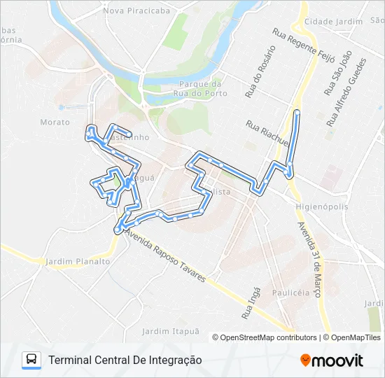 315 JARAGUÁ Bus Line Map