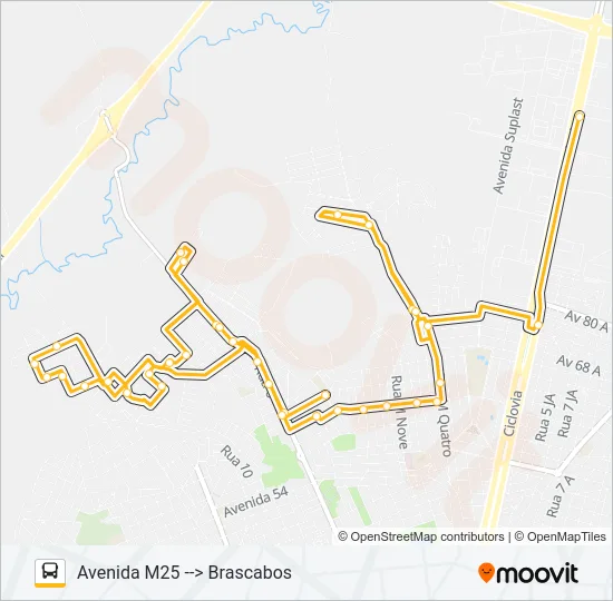 22 BRASCABOS Bus Line Map