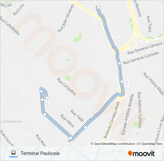 319 JARDIM COSTA RICA/TPA Bus Line Map