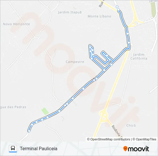 319 JARDIM COSTA RICA/TPA Bus Line Map