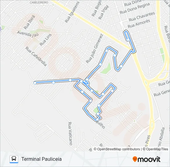 304 MONTE LÍBANO  / TPA Bus Line Map