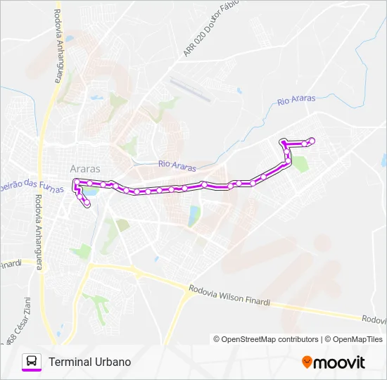 207 PARQUE TIRADENTES Bus Line Map