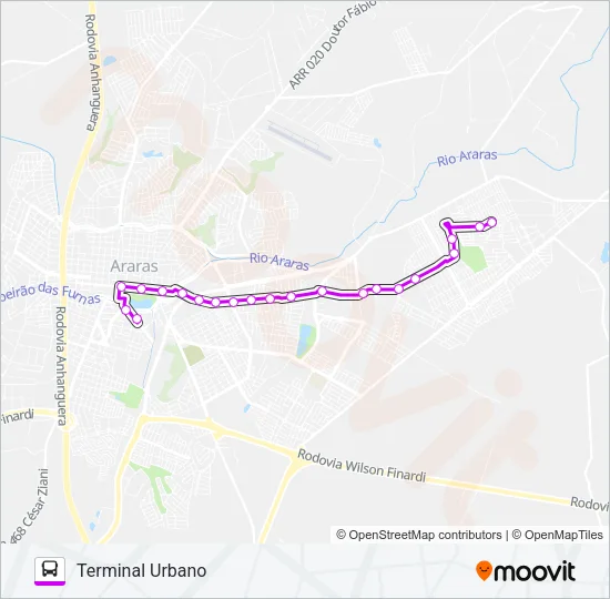 206 PARQUE TIRADENTES - REFORÇO Bus Line Map