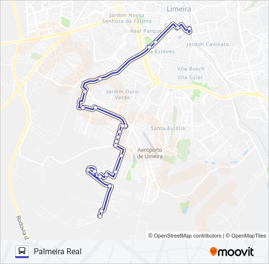 400 (RAPIDÃO SUL) PALMEIRA REAL - TERMINAL CENTRAL bus Line Map
