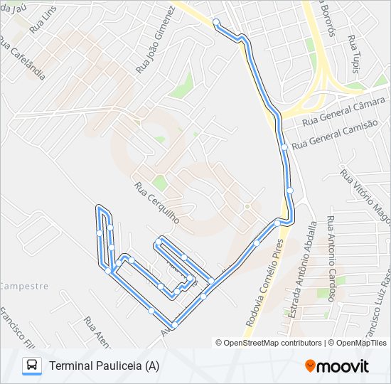 Mapa da linha 0319 JARDIM COSTA RICA de 