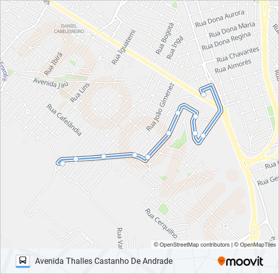 0308 MONTE LÍBANO VIA RUA MARILICE RODRIGUES DA SILVA PINTO bus Line Map