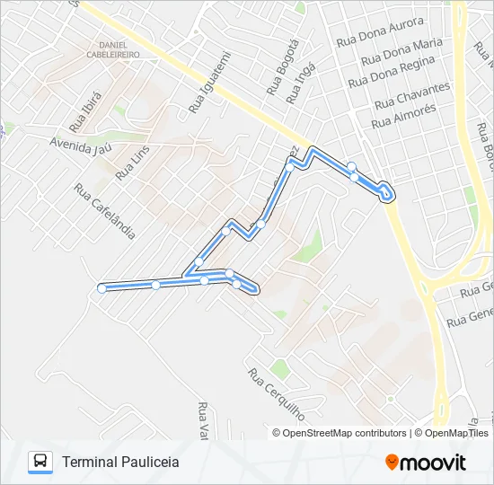 0308 MONTE LÍBANO VIA RUA MARILICE RODRIGUES DA SILVA PINTO  Line Map