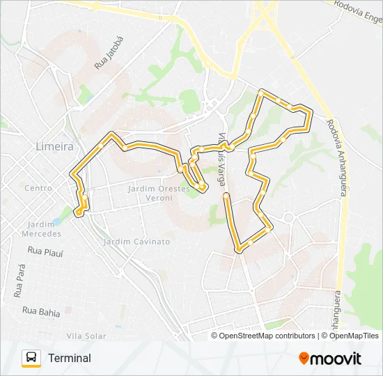 115 BOA ESPERANÇA X TERMINAL Bus Line Map