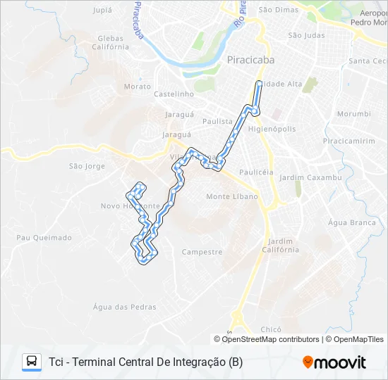 0322 NOVO HORIZONTE  Line Map