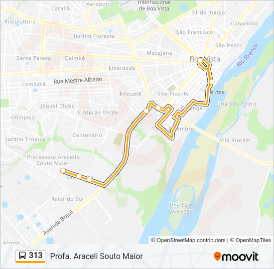 313 Bus Line Map