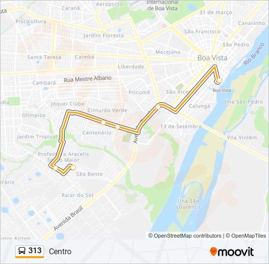 Mapa da linha 313 de ônibus