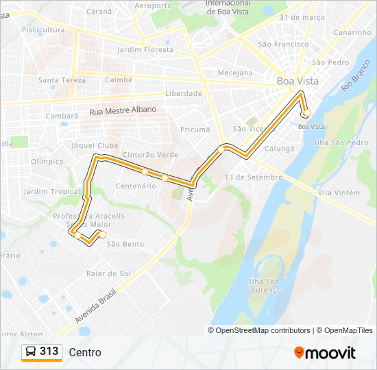 313 Bus Line Map