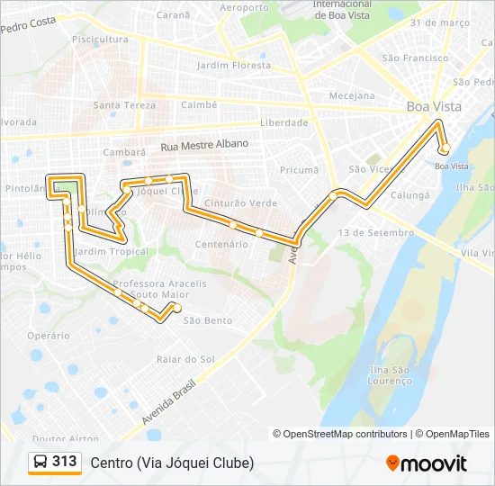 313 Bus Line Map