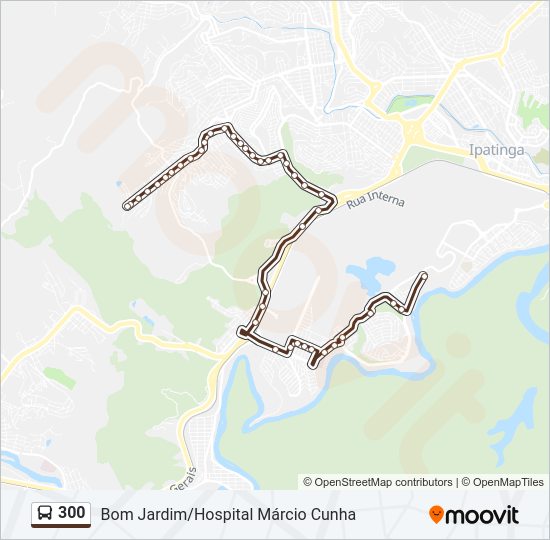 300 Bus Line Map