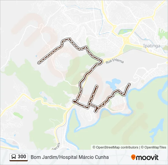 300 Bus Line Map